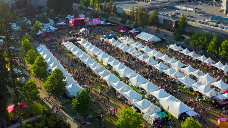 Surrey Fusion Festival aerial shot of Holland Park
