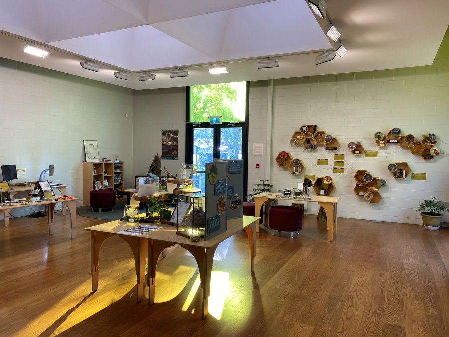 exhibit space with natural items on display
