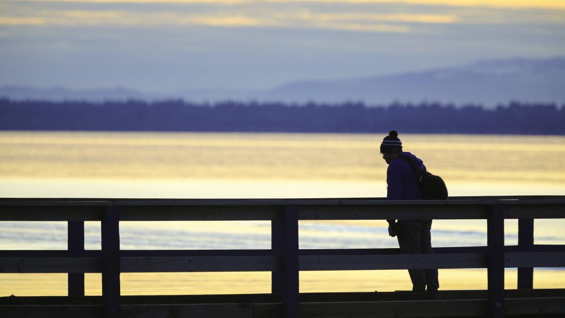 Person Looking Out at View on the Pier at Blackie Spit Park