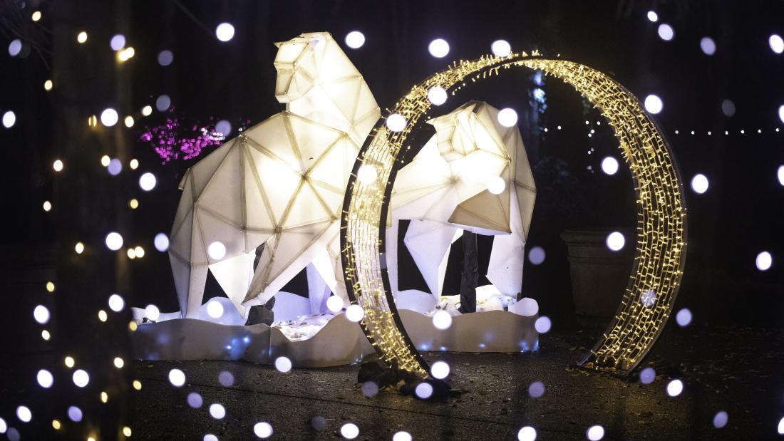 Illuminated Bear Statues