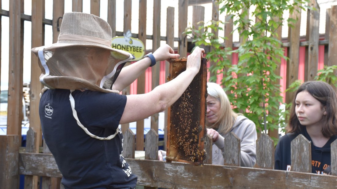 May 29, Day of the Honeybee, Honeybee Centre