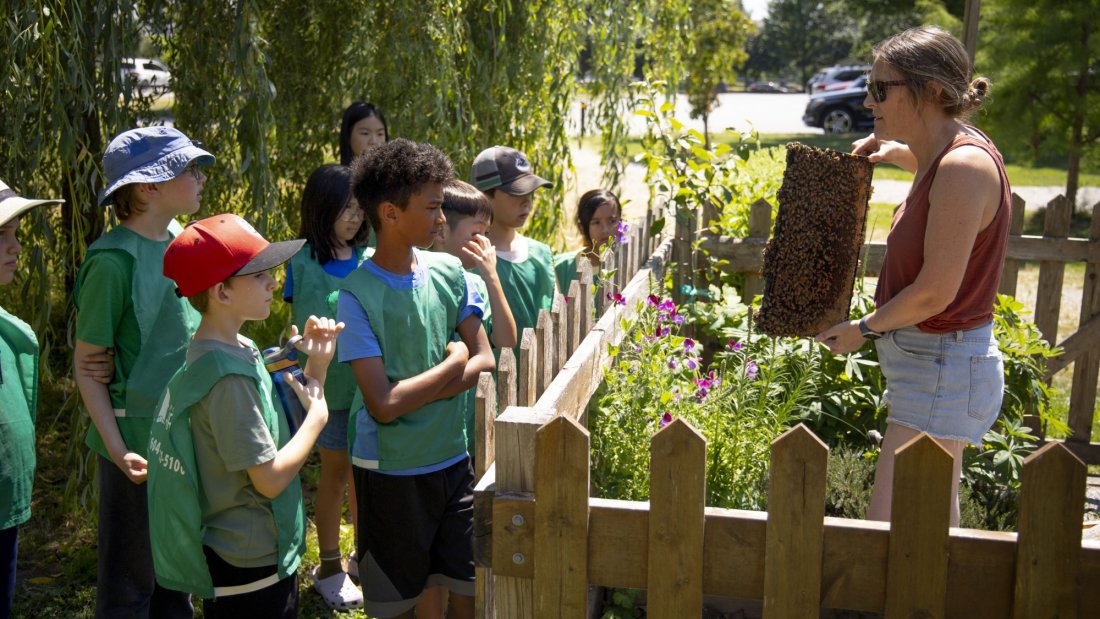 Art Campers in green pinnies look over a fence at a beekeeper showing a part of the hive.