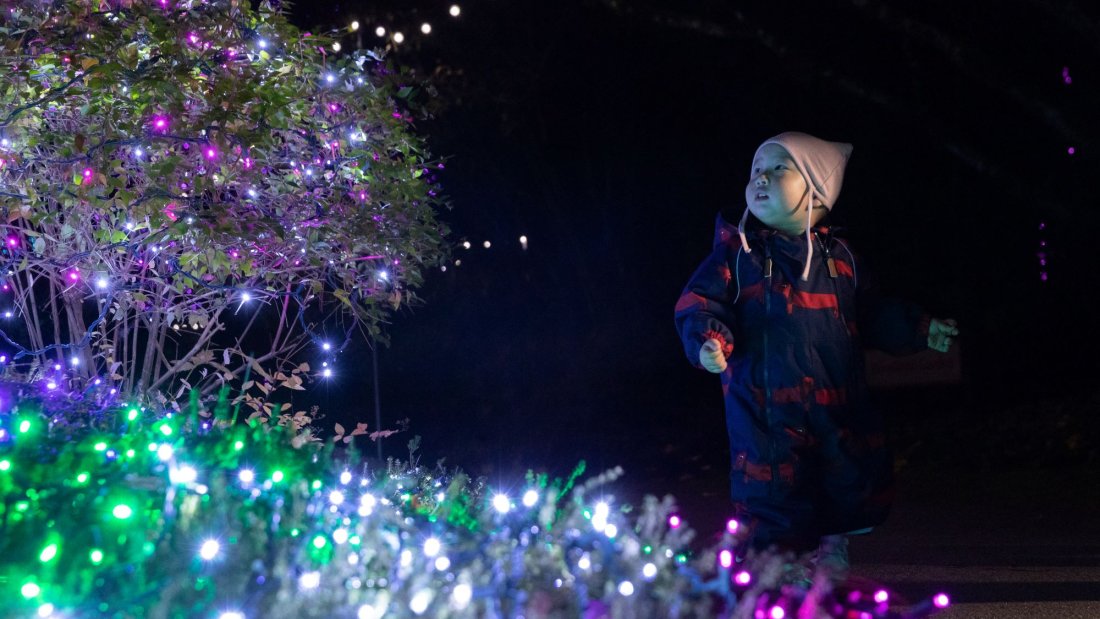 baby looking up at light display