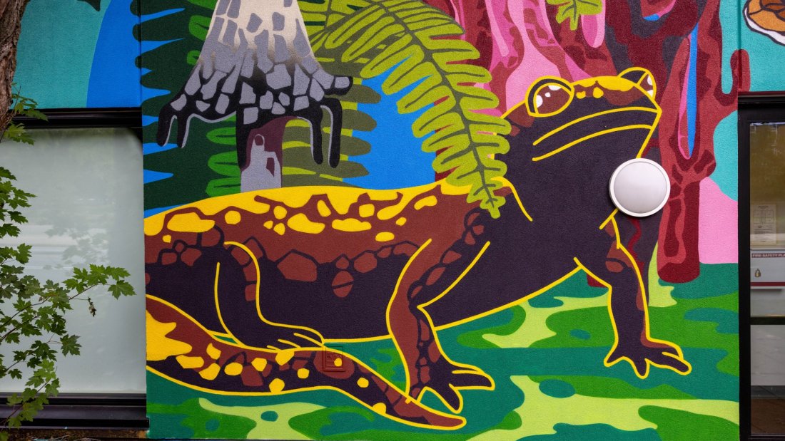 Colorful mural featuring a salamander and a large mushroom.