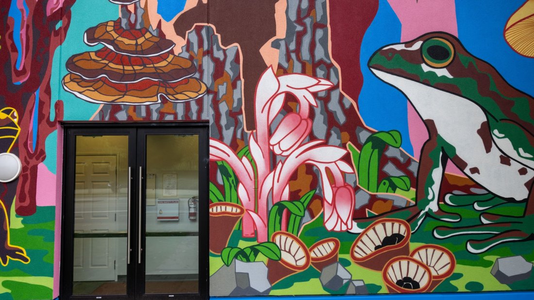 Bright mural depicting a large frog, mushrooms, and pink plants surrounding a glass door entrance