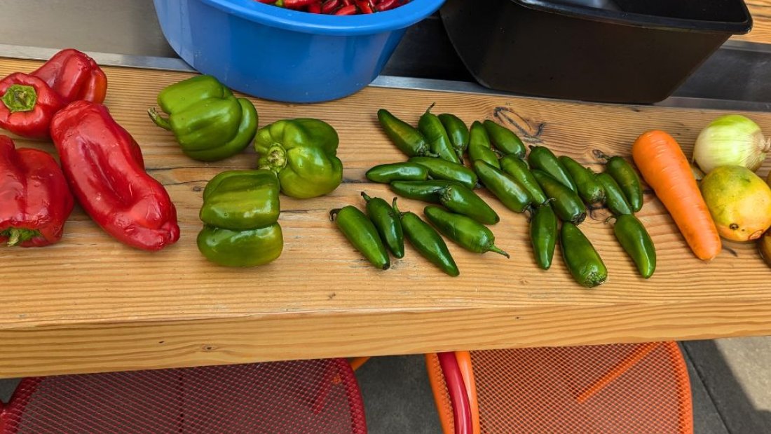 Vegetables before fermentation