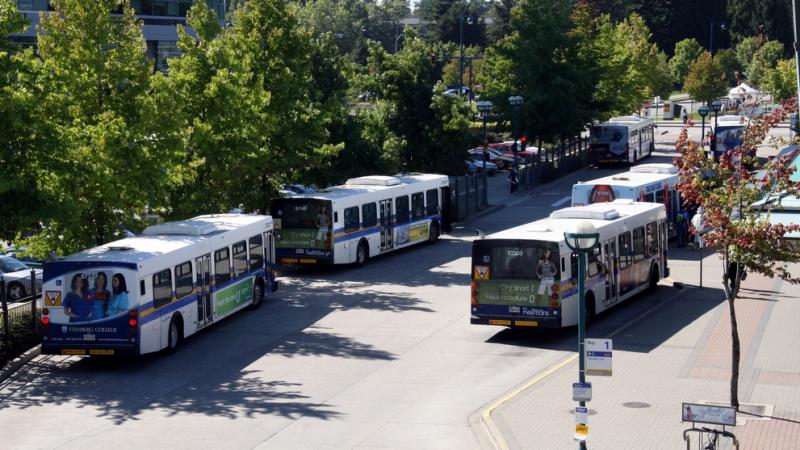 Transit Hub Buses