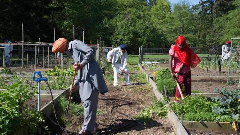 3 gardeners work on plots