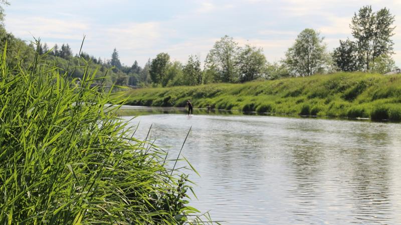 A river with greenery on each side