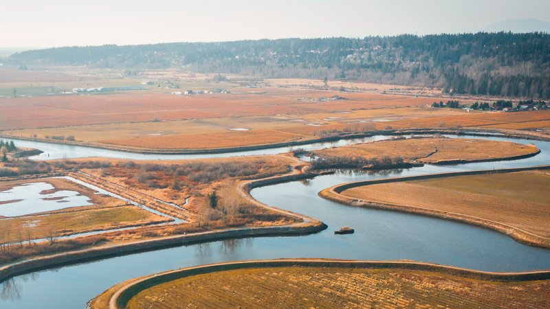 serpentine fen