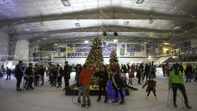 People skating on an ice rink with a Christmas tree.