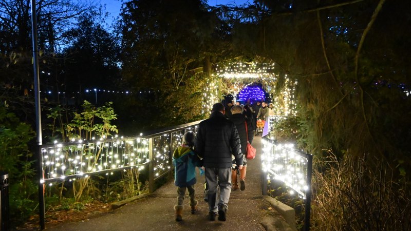 People walking along a walkway with lights.