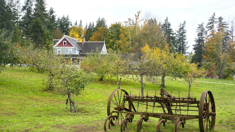 The orchard and farmhouse at the farm