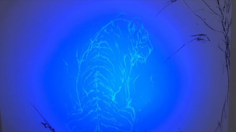 A lowing orb of blue light shows the white outline of a tiger. The tiger faces away from us, we can see its back and its noble head in profile.