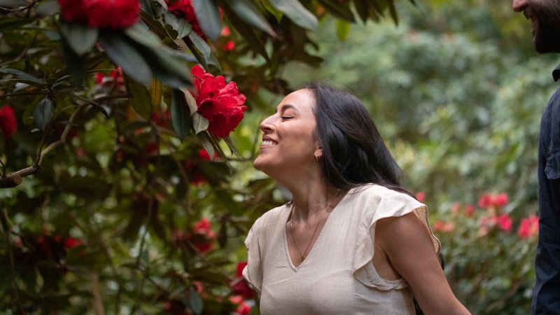 A person smelling red flowers.
