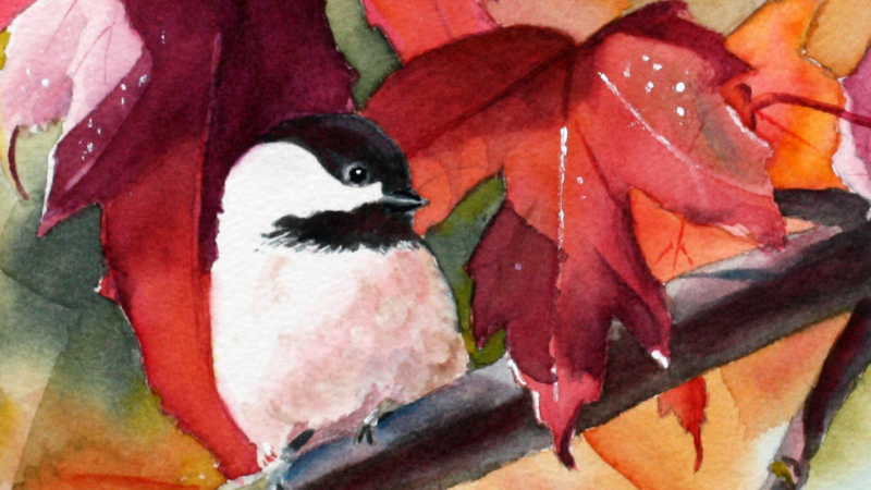 A bird with a white chest and a black head and tail sits perched on a tree branch, gazing to the leaves that are red in colour and the same size, if not larger than the bird itself. It is during the day.