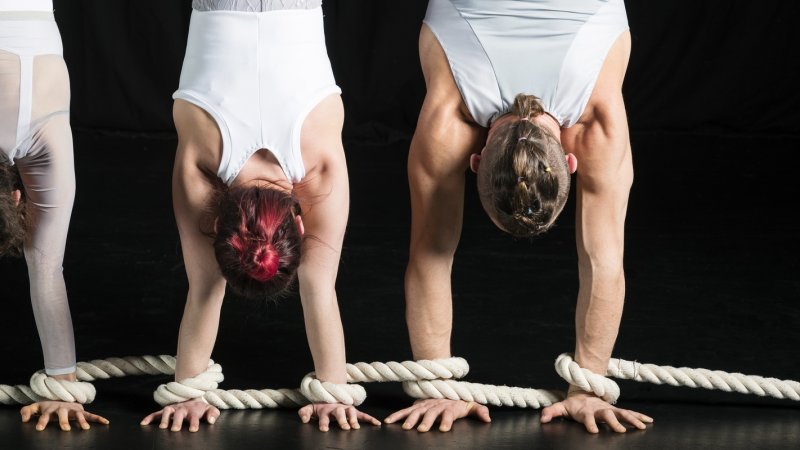 three acrobats in a row, each doing a handstands, you see the backs of their heads and their strong arms and hands on the ground with rope wrapped around their wrists, connecting them.