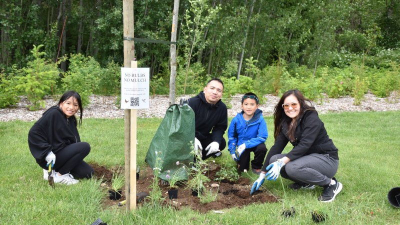 A family planting flowers in a park, smiling and wearing gardening gloves.