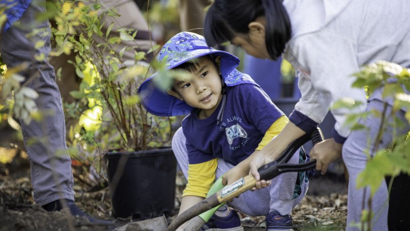 A young child in a blue hat digs soil with help from an adult during a tree planting event, surrounded by plants and gardening tools