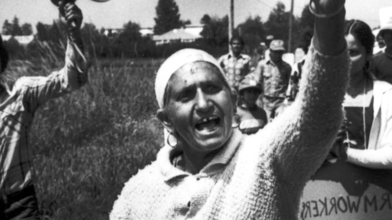 Black and white image of farmworkers stand near a field and raise their hands in protest.