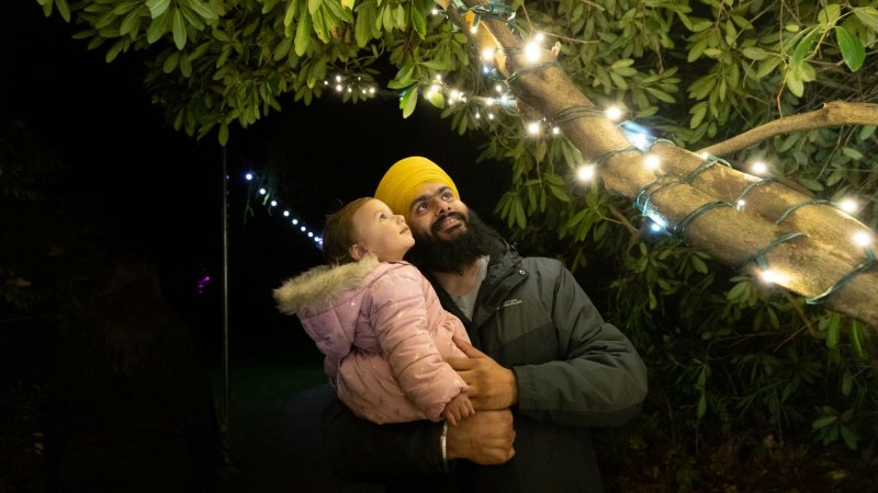 a father holding a baby, looking up at white lights in a tree