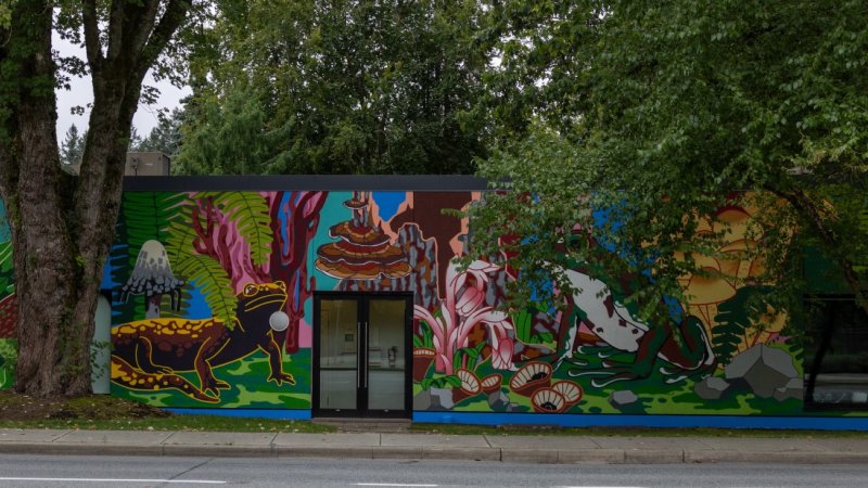 Wide mural featuring vibrant nature scenes with mushrooms, plants, animals, and a frog, covering the side of a building.