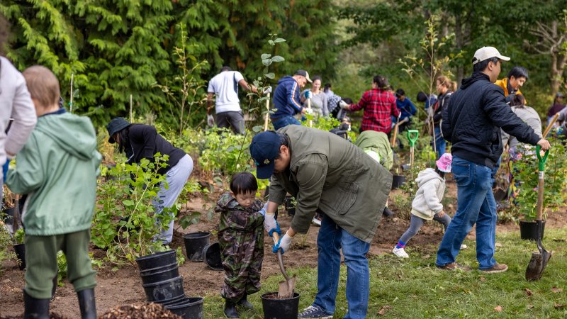 Our City tree planting at Hawthorne Rotary Park