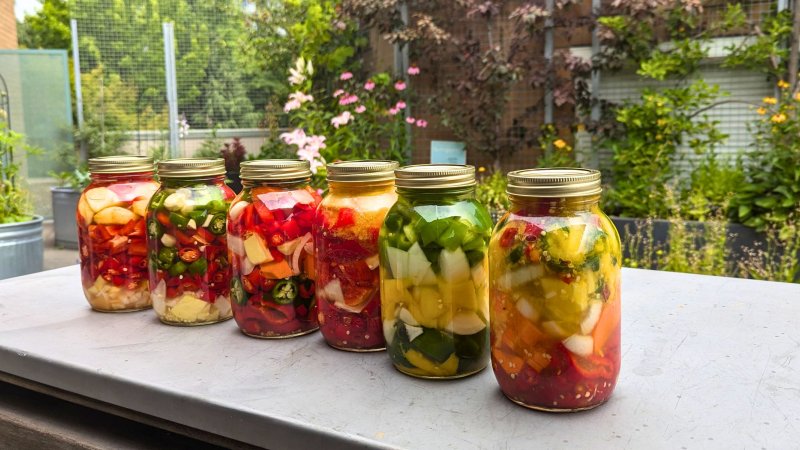 Jars of fermented food