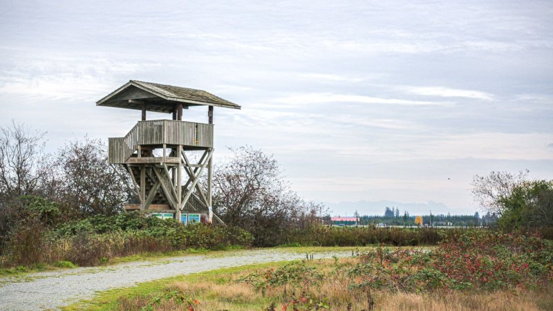 a lookout about a gravel trail