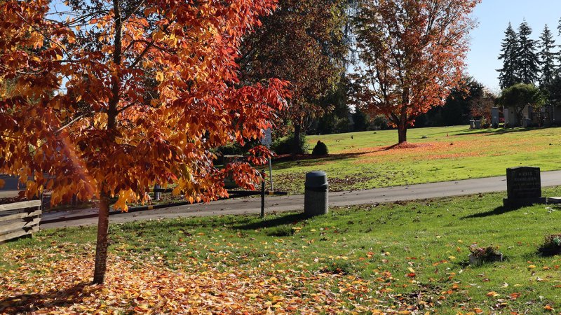 cemetery with fall colours