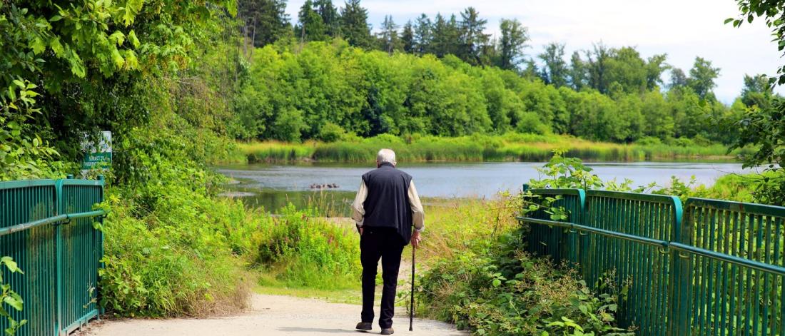 A senior man with a cane walks on a bridge near a lake
