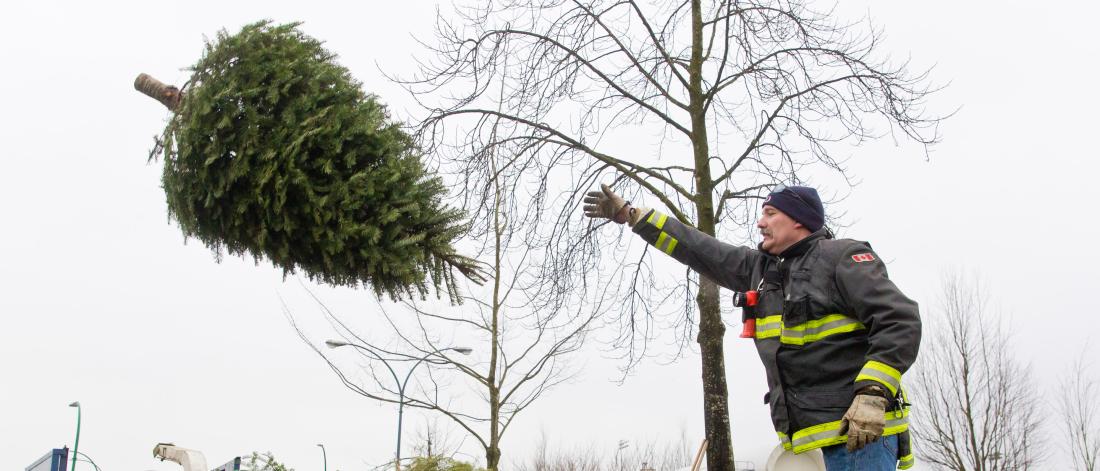 Firefighter throws a Christmas tree