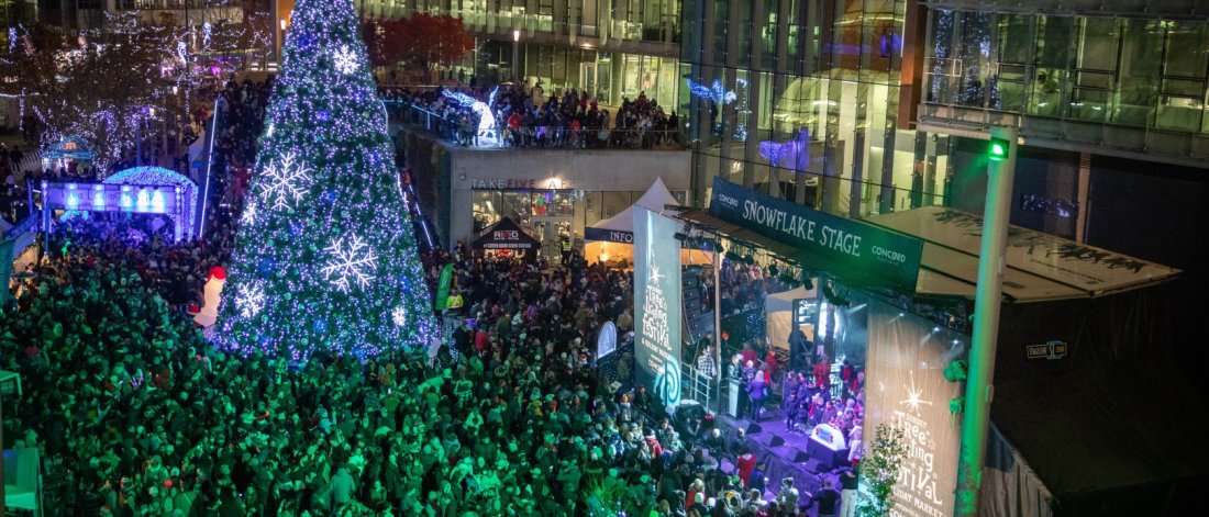  A festive outdoor Christmas tree lighting event with a large crowd and a brightly lit tree