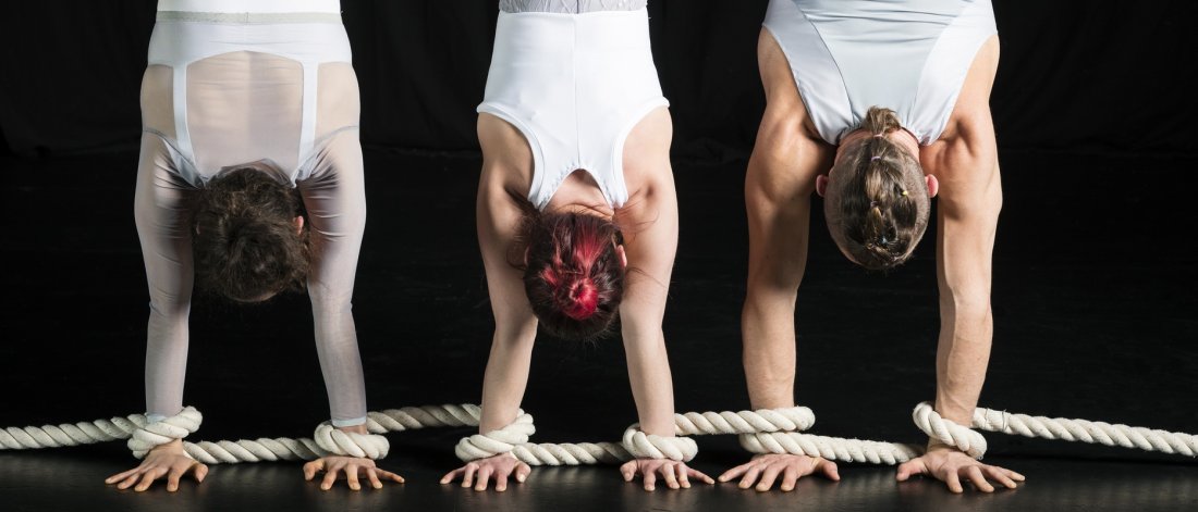 three acrobats in a row, each doing a handstands, you see the backs of their heads and their strong arms and hands on the ground with rope wrapped around their wrists, connecting them.