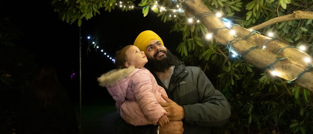 a father holding a baby, looking up at white lights in a tree