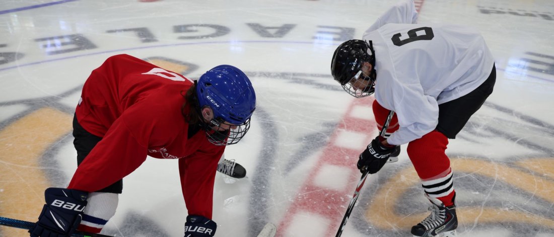 Two guys facing off for hockey.