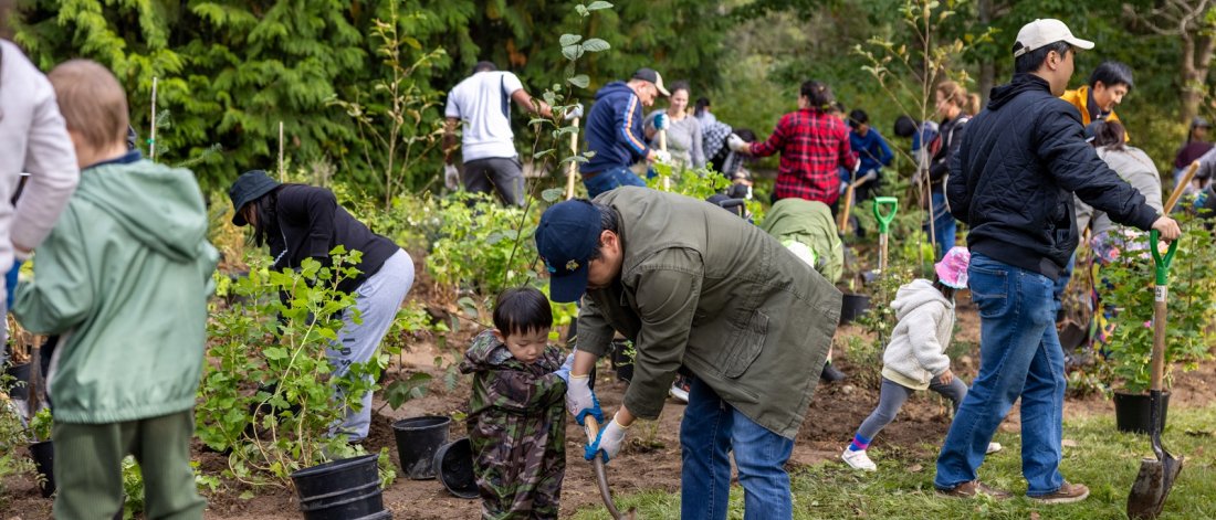 Our City tree planting at Hawthorne Rotary Park