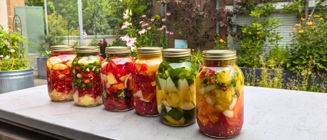 Jars of fermented food