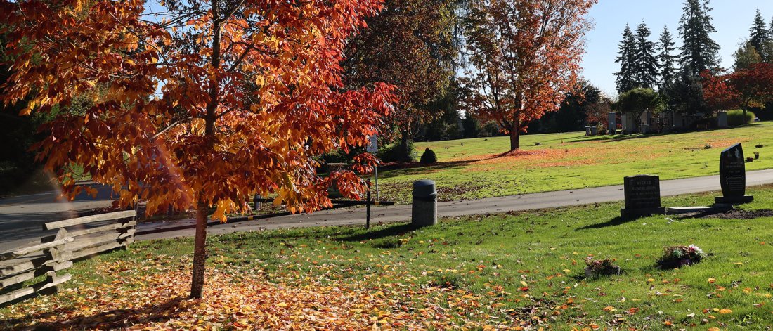 cemetery with fall colours