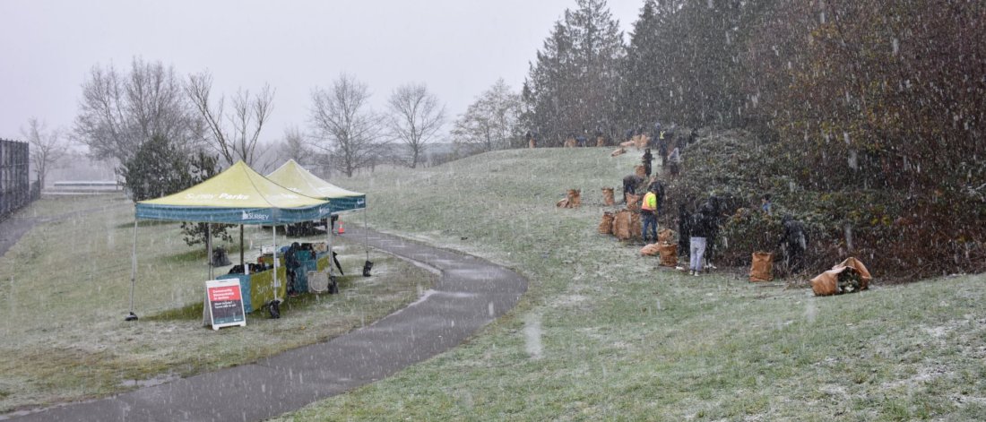 a group of volunteers work on the edge of a natural area and its starting to snow