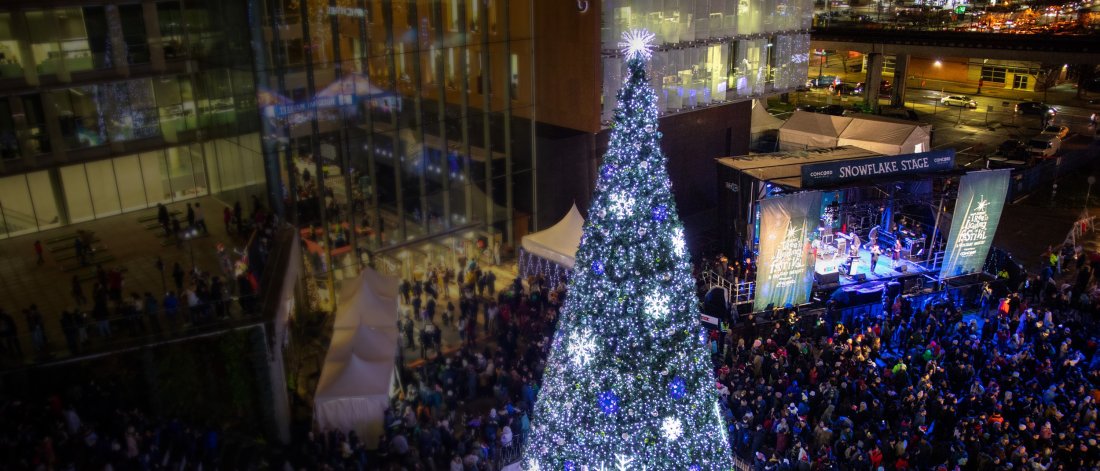 large christmas tree and crowd