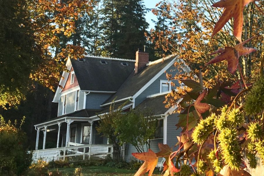 Leaves falling framing the farmhouse