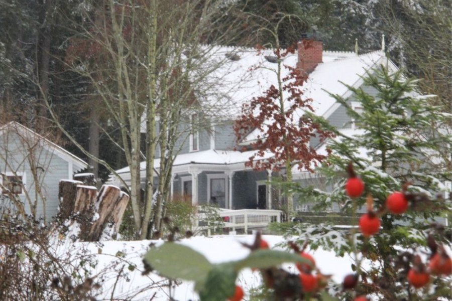 A snowy farmhouse in the distance.