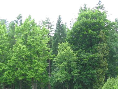 Green Timbers - Arboretum | City Of Surrey