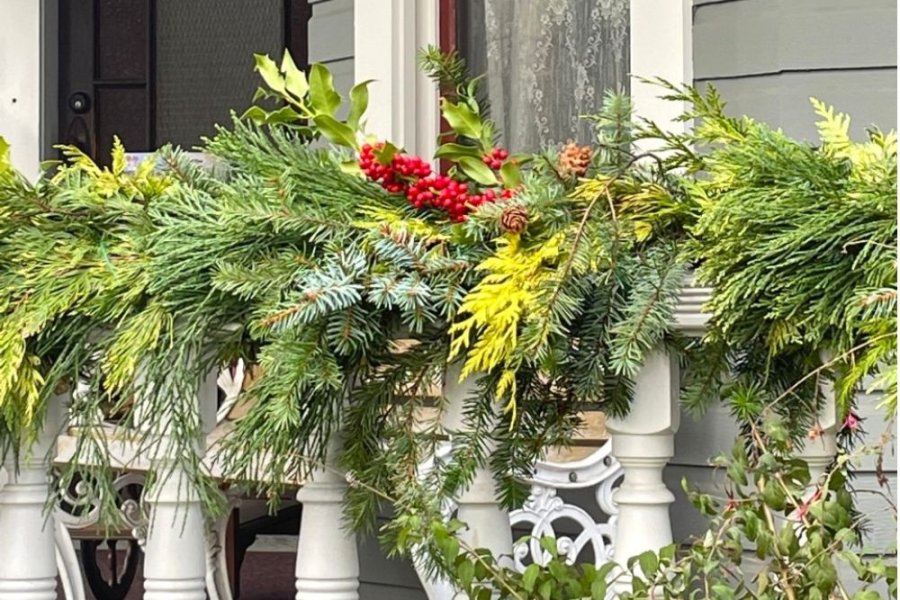 Fresh greenery on the verandah