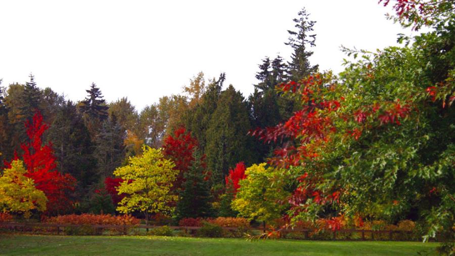 8 Best Surrey Parks To See Fall Colours | City Of Surrey